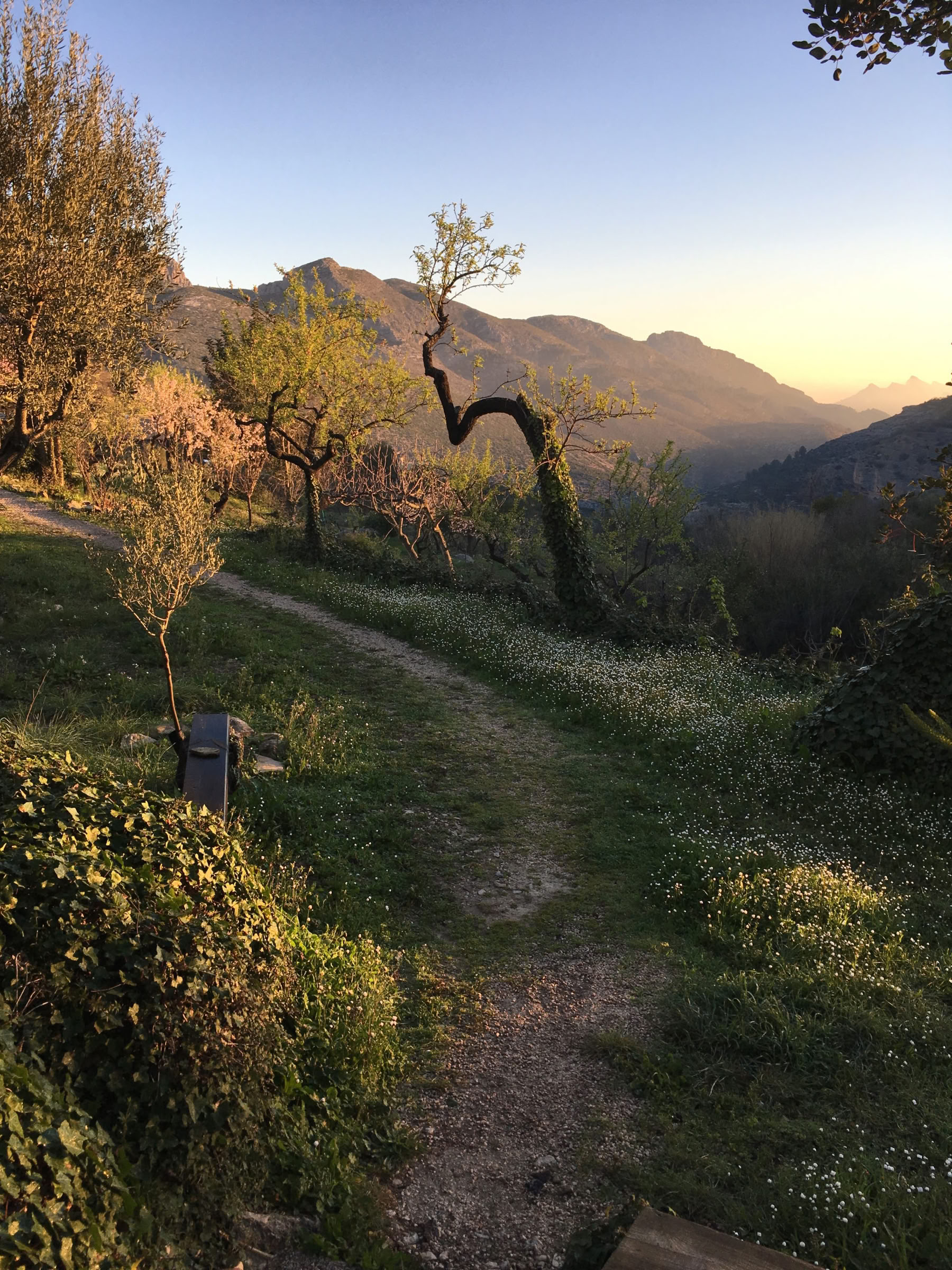 Encontrando la paz