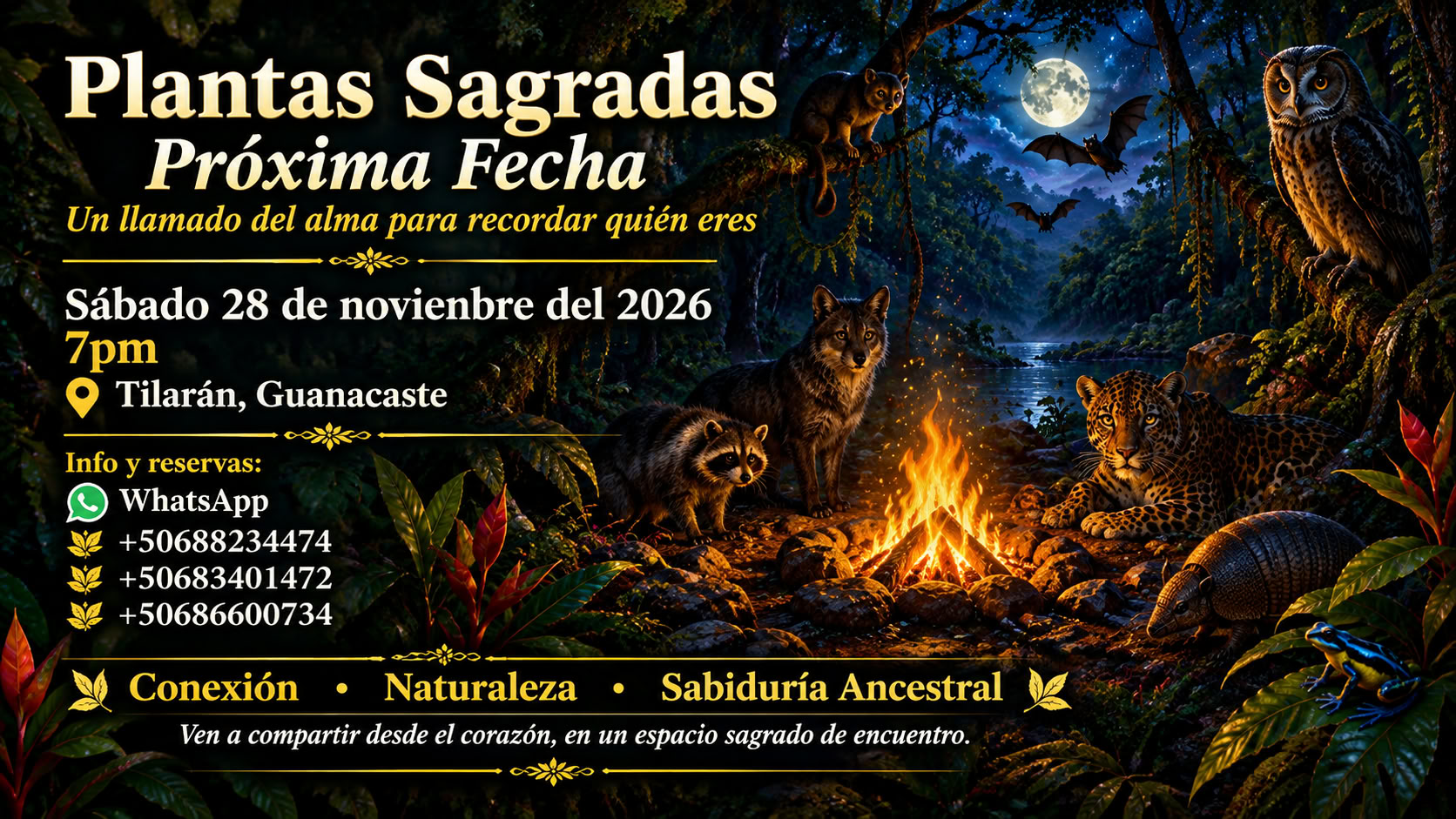 Plantas sagradas, ancestrales, medicina del alma