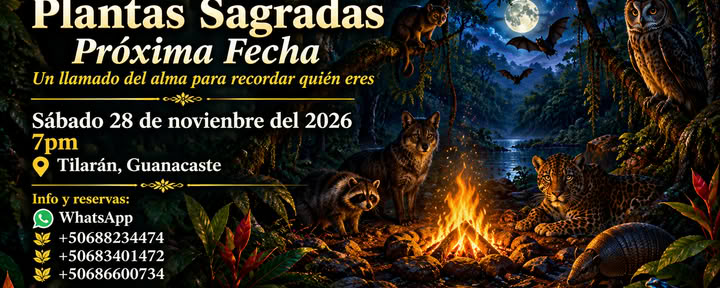 Plantas sagradas, ancestrales, medicina del alma