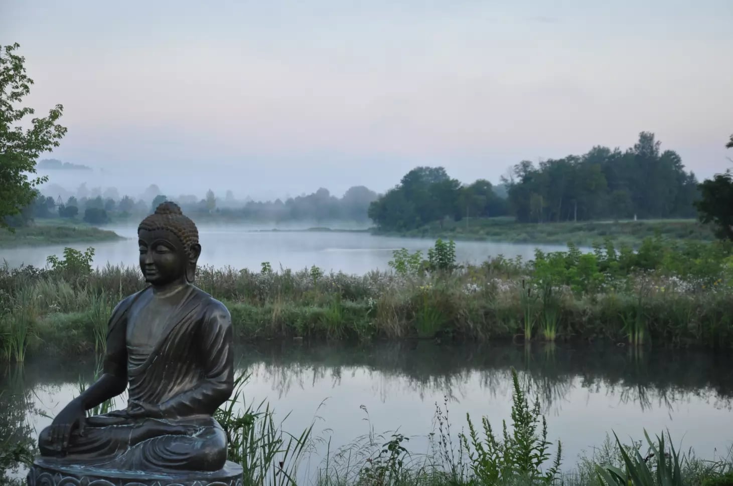 Bosque Zen