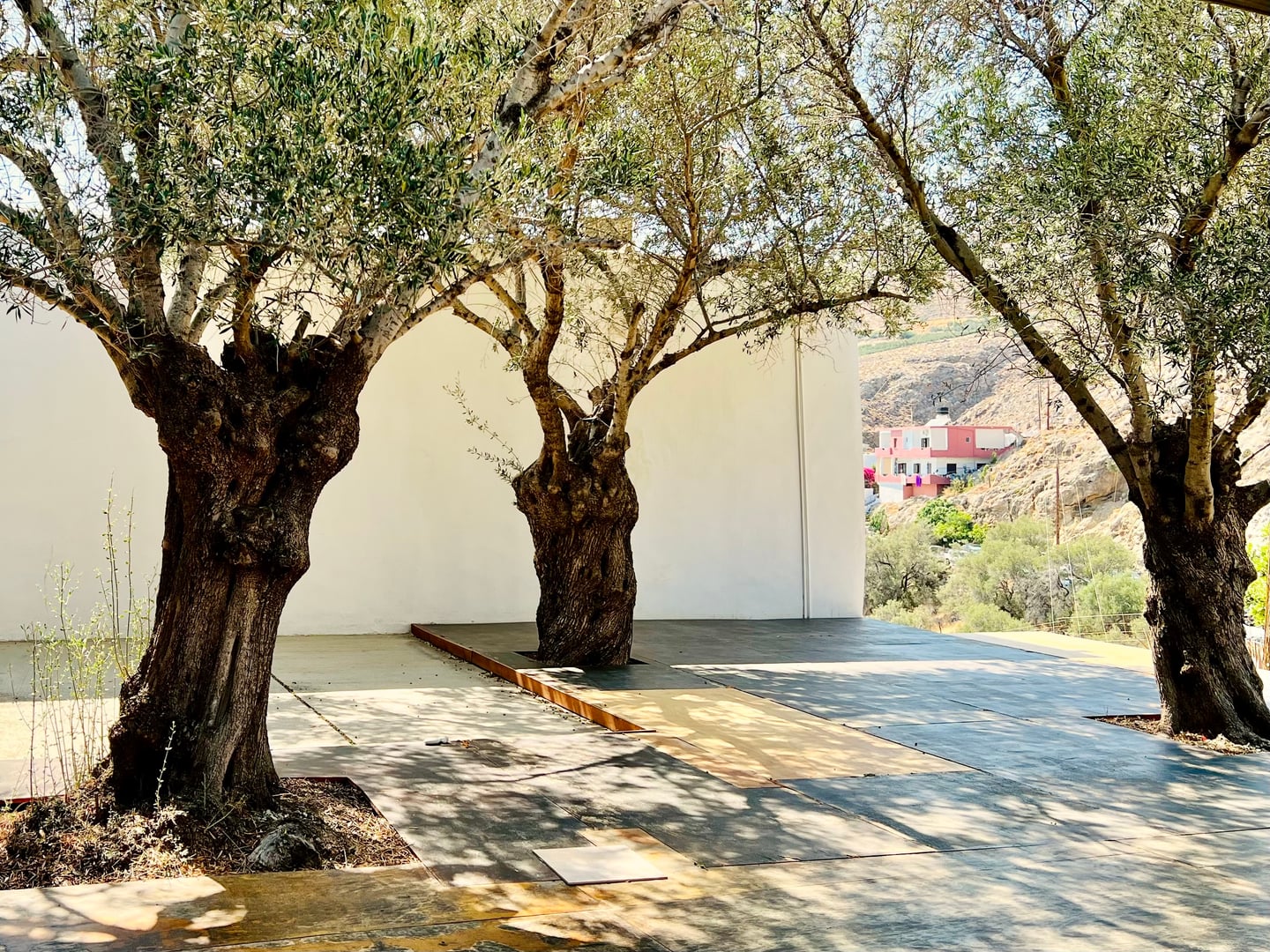 Yoga en Creta