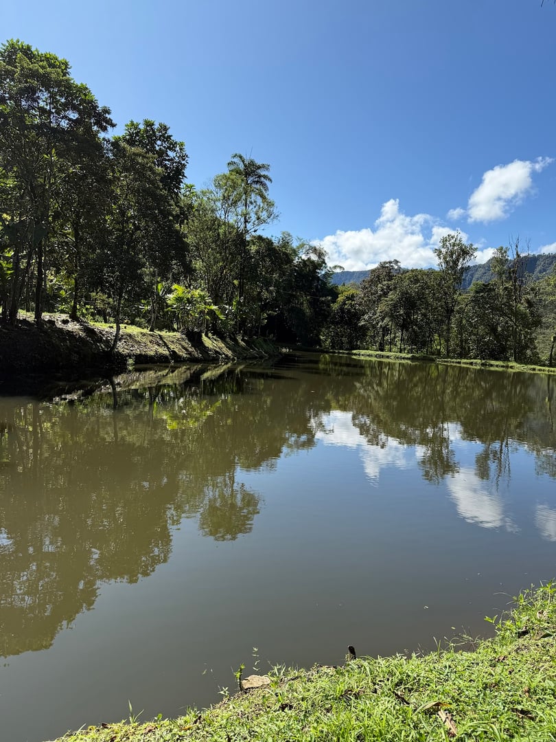 Hayulima: retiros espirituales y de medicina vegetal