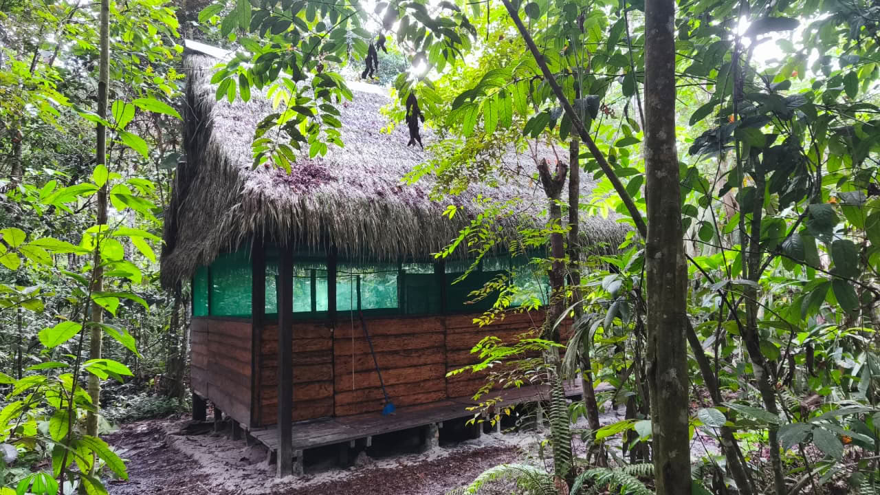 Naturalia centro de retiro | Retiro de Ayahuasca en Perú