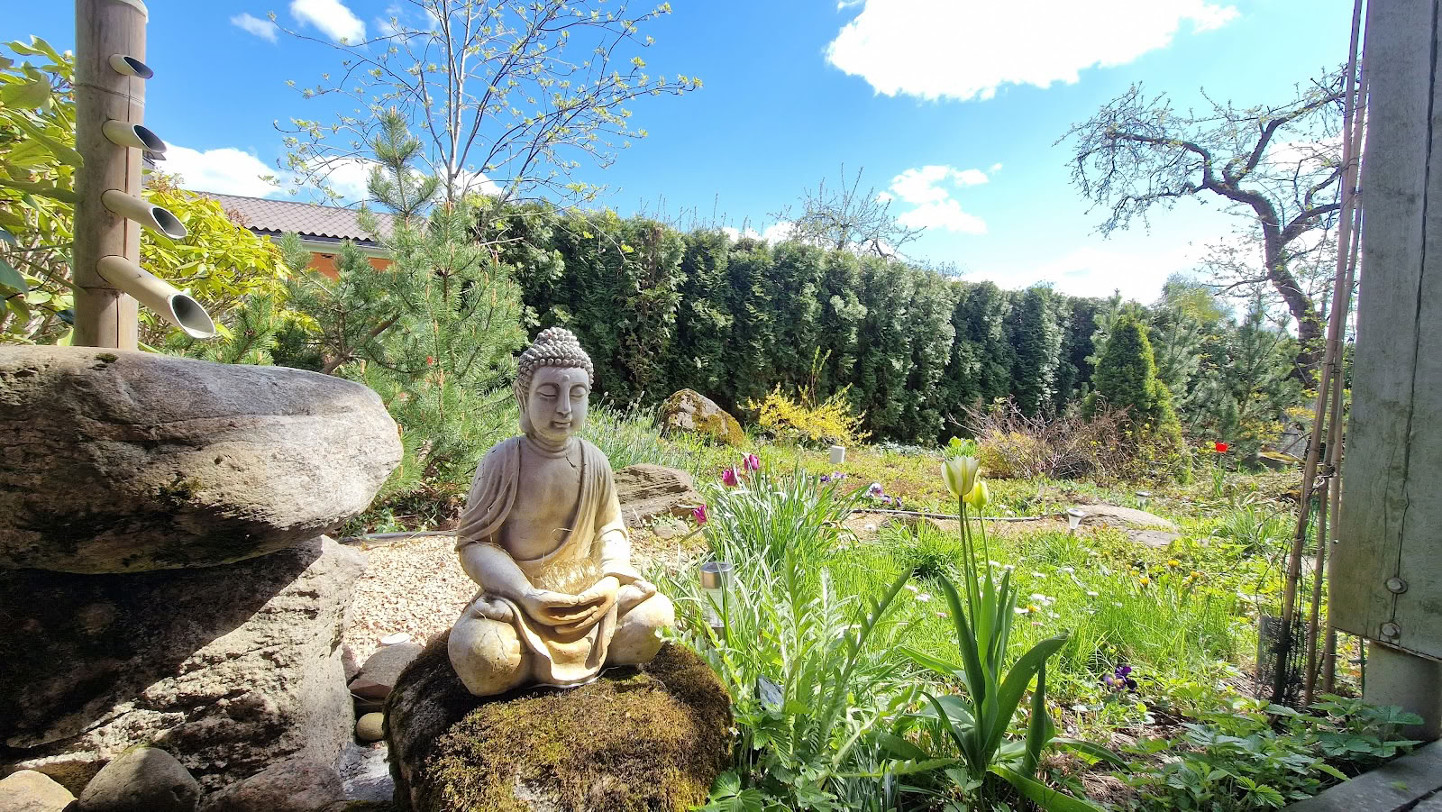 Centro de Meditación Ojas, Resort / OJAS Meditation Center Resort