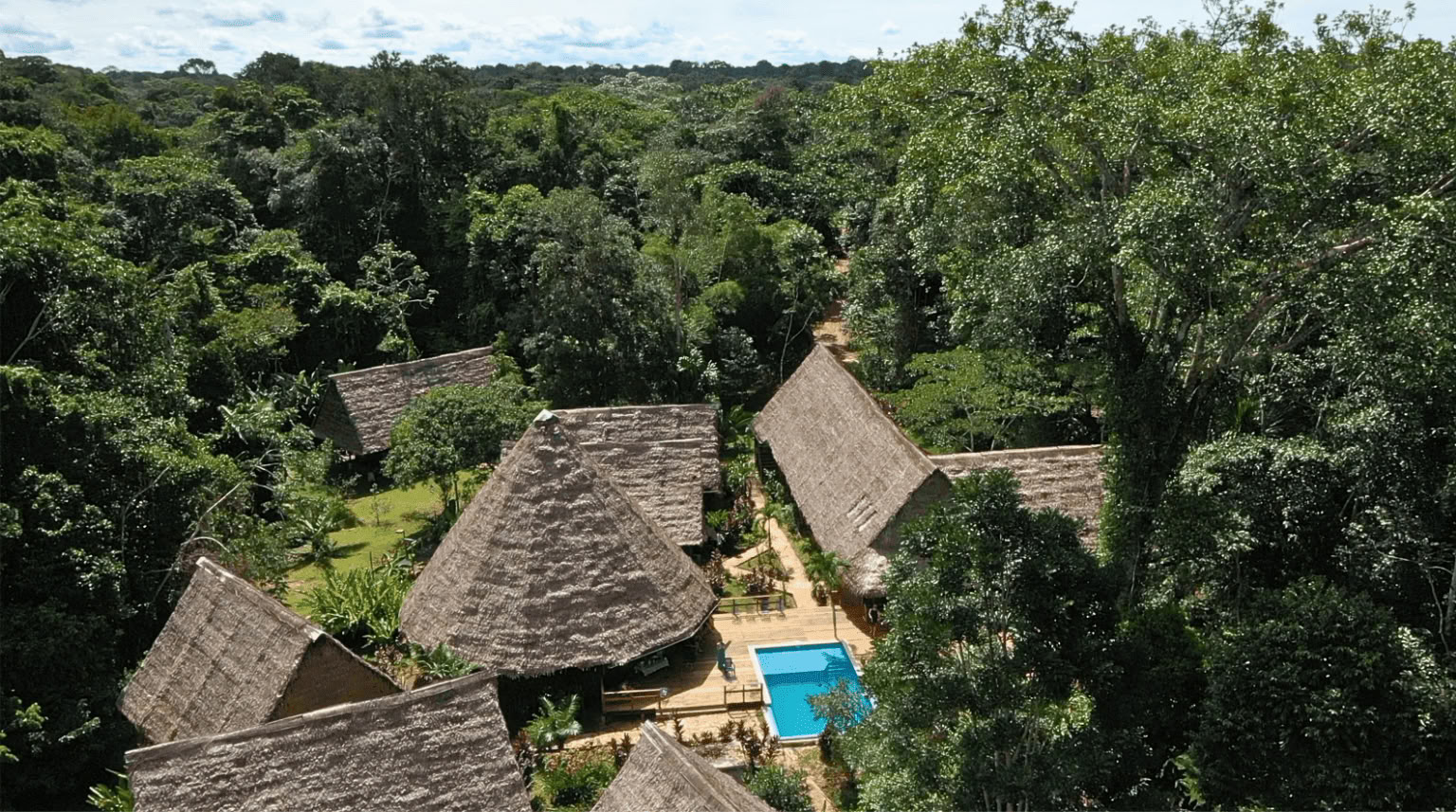 Blue Morpho