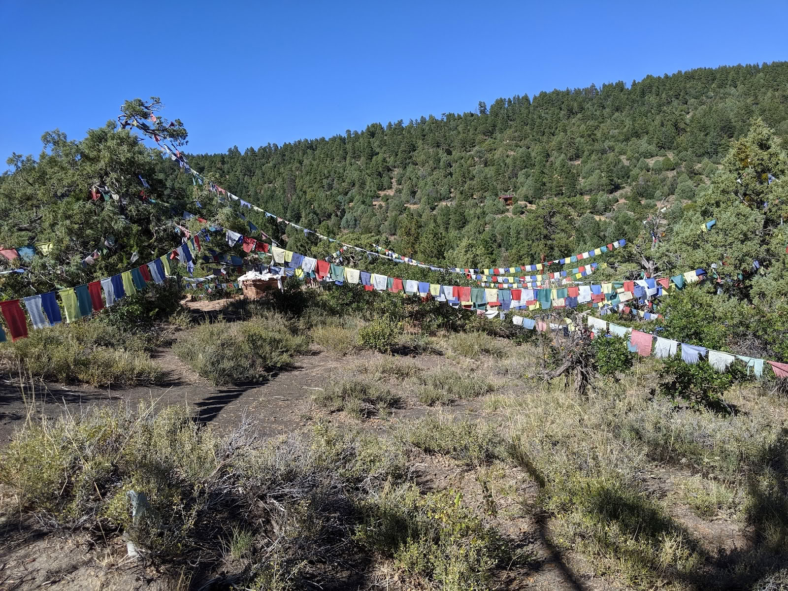 Tara Mandala Retiro Budista