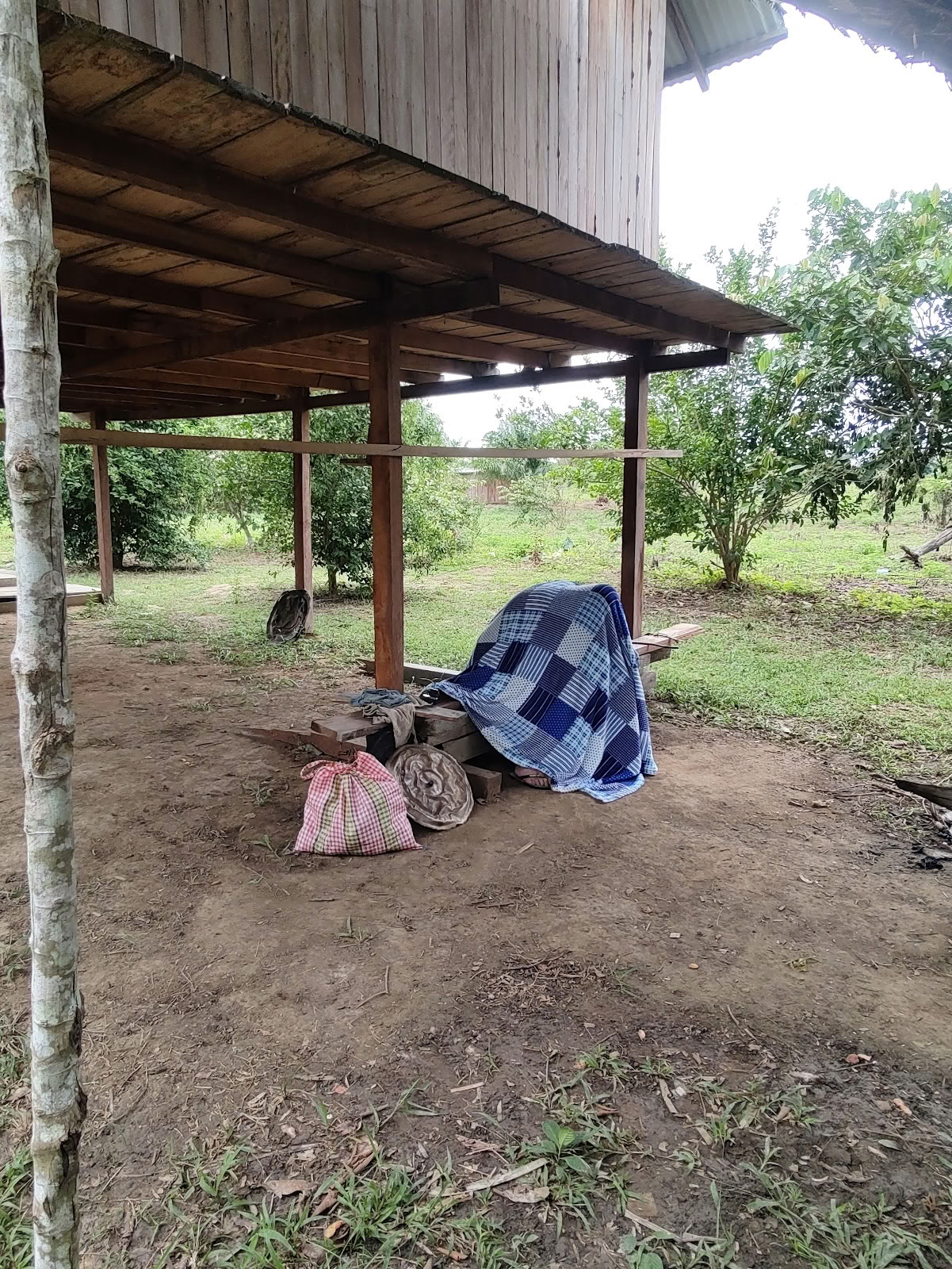 Fundación Shipibo de Ayahuasca y Chamanismo
