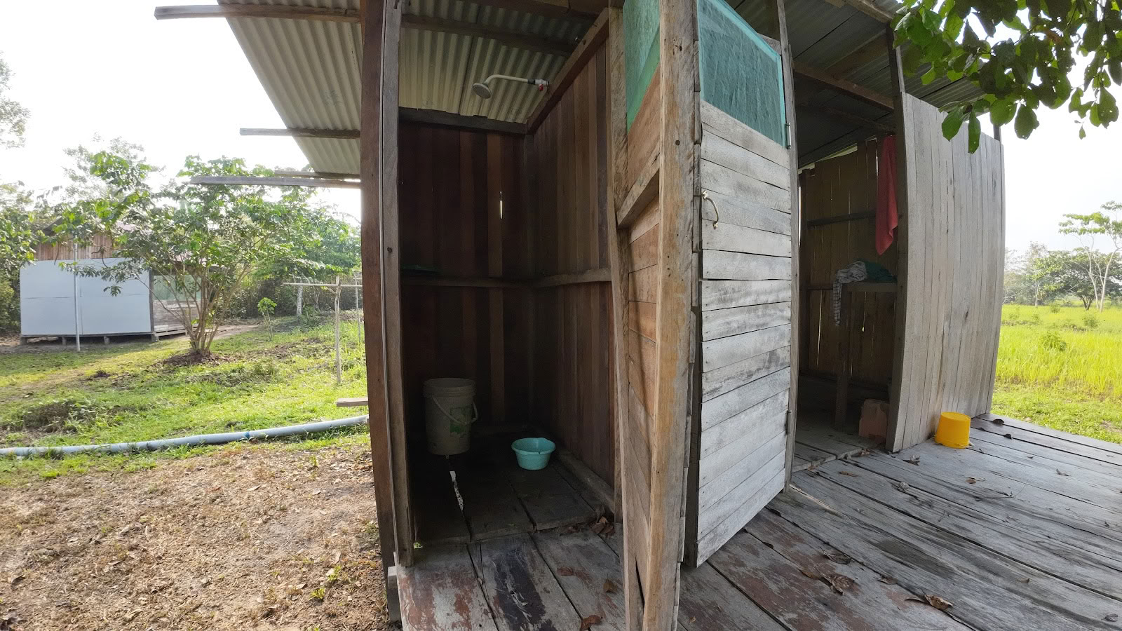 Fundación Shipibo de Ayahuasca y Chamanismo