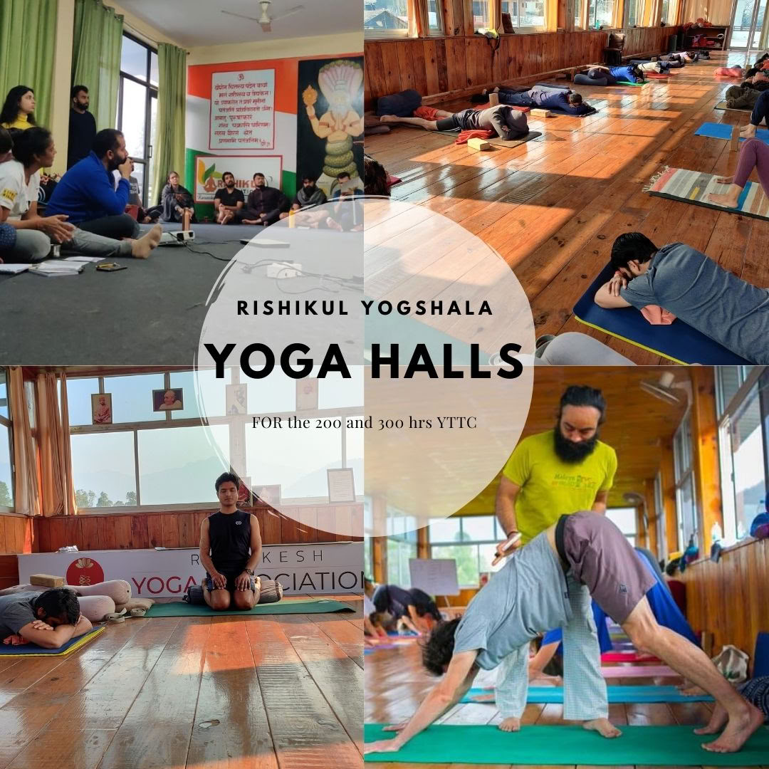 Rishikul Yogshala Rishikesh - Formación de profesores de yoga en Rishikesh, India