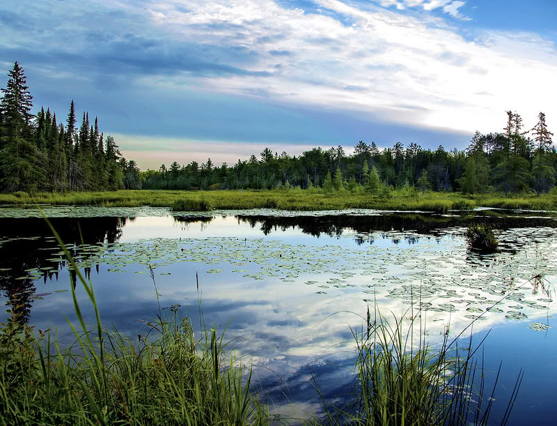 The Dharma Centre of Canada