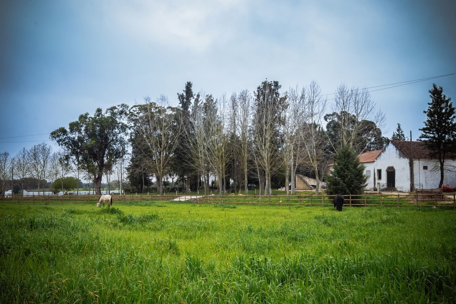 Quinta Carvalhas - AFV Retiros