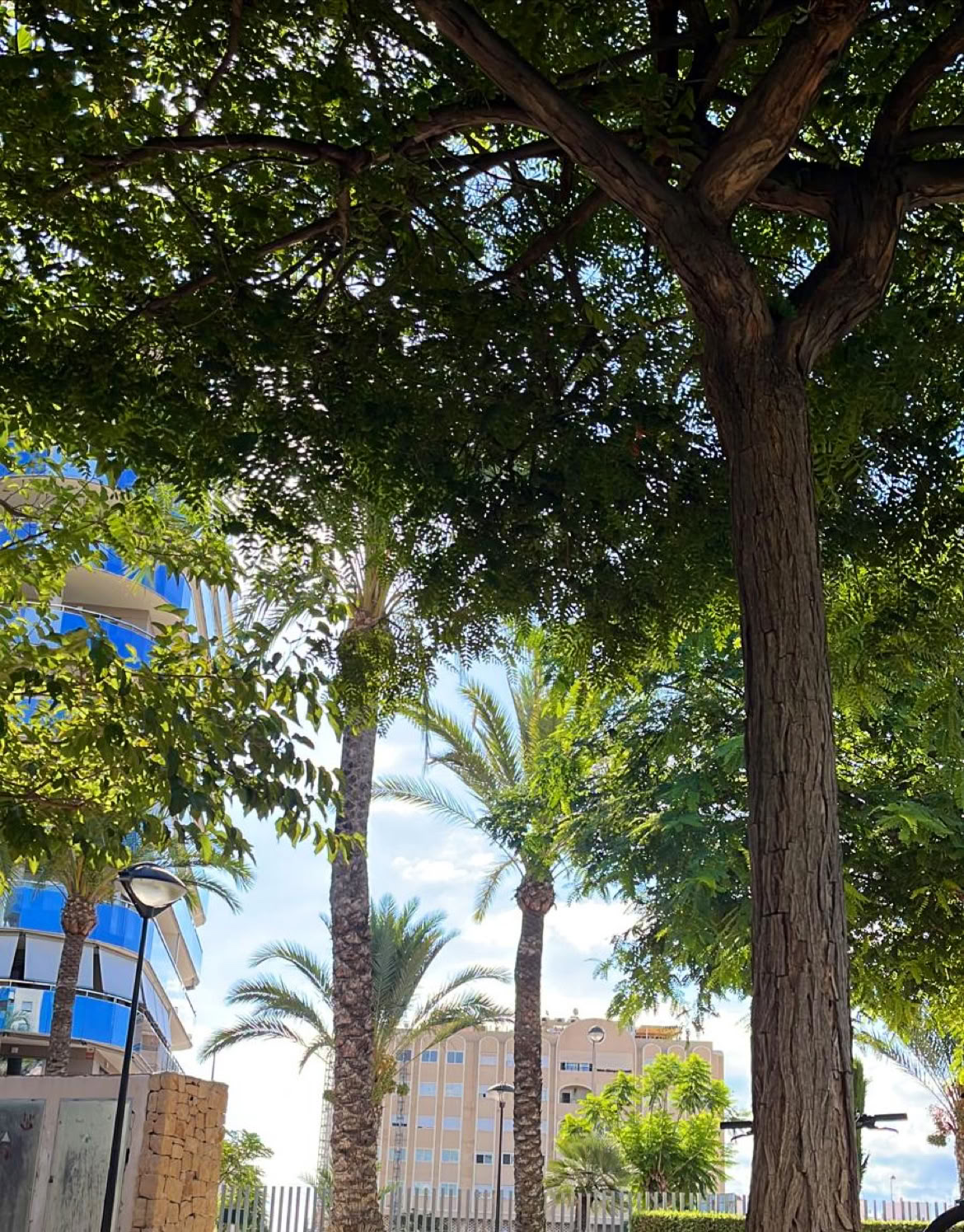 REVIVE RETIROS & FITNESS by Bomba Fitness Campello