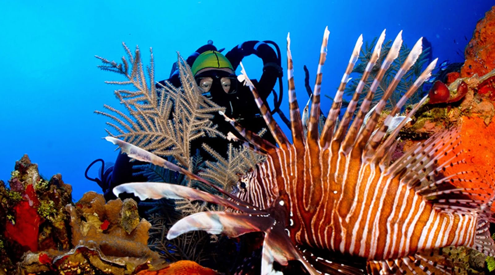 Oceanic Ventures, Inc