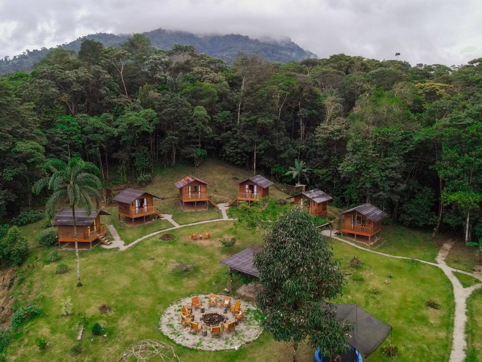 Jungle Harmony - Retiros de Ayahuasca Yagé