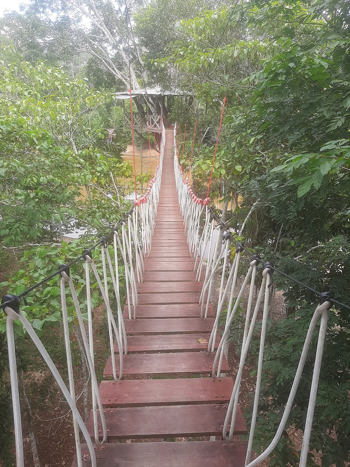 El Purguero Ayahuasca Retiro