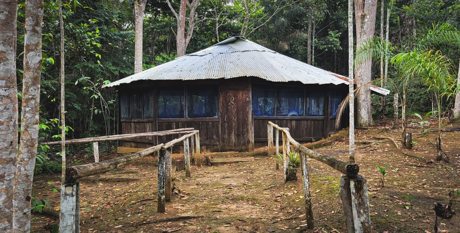 El Purguero Ayahuasca Retiro