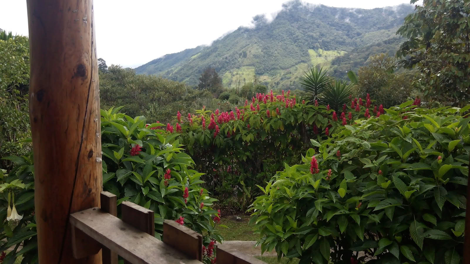 Finca Mia Retreat Center