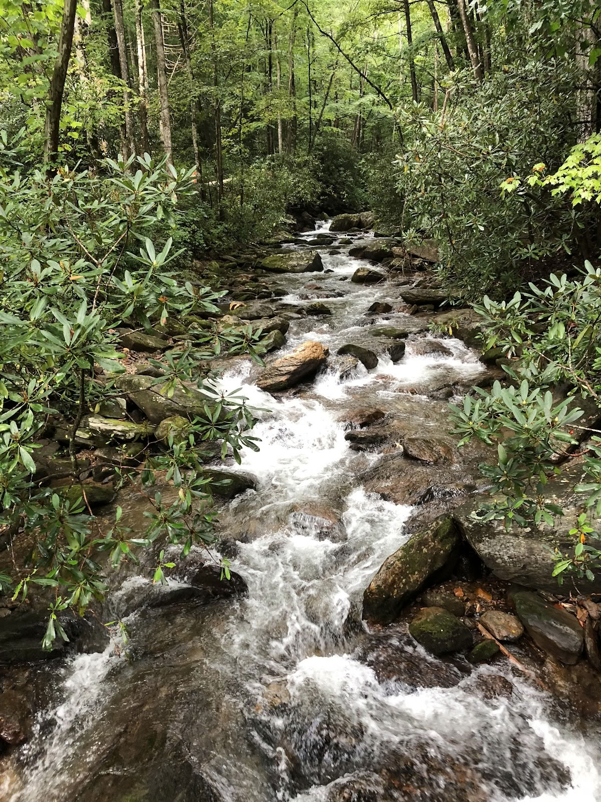 Indigo Nature Retreat