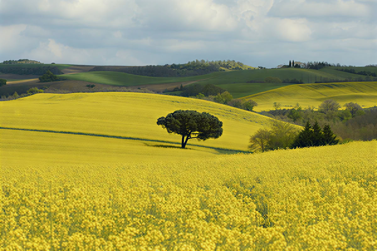 Reconectando con la naturaleza