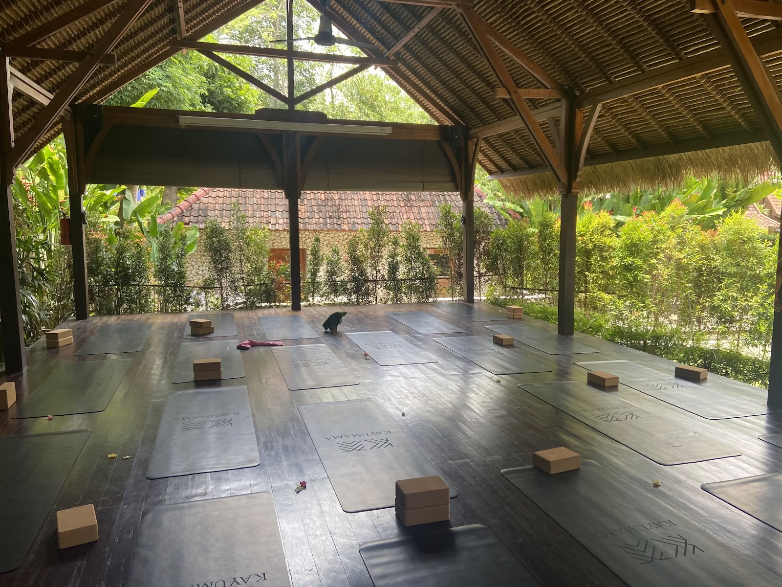 SoHA School of Healing Arts - Formaciones de Profesores de Yoga
