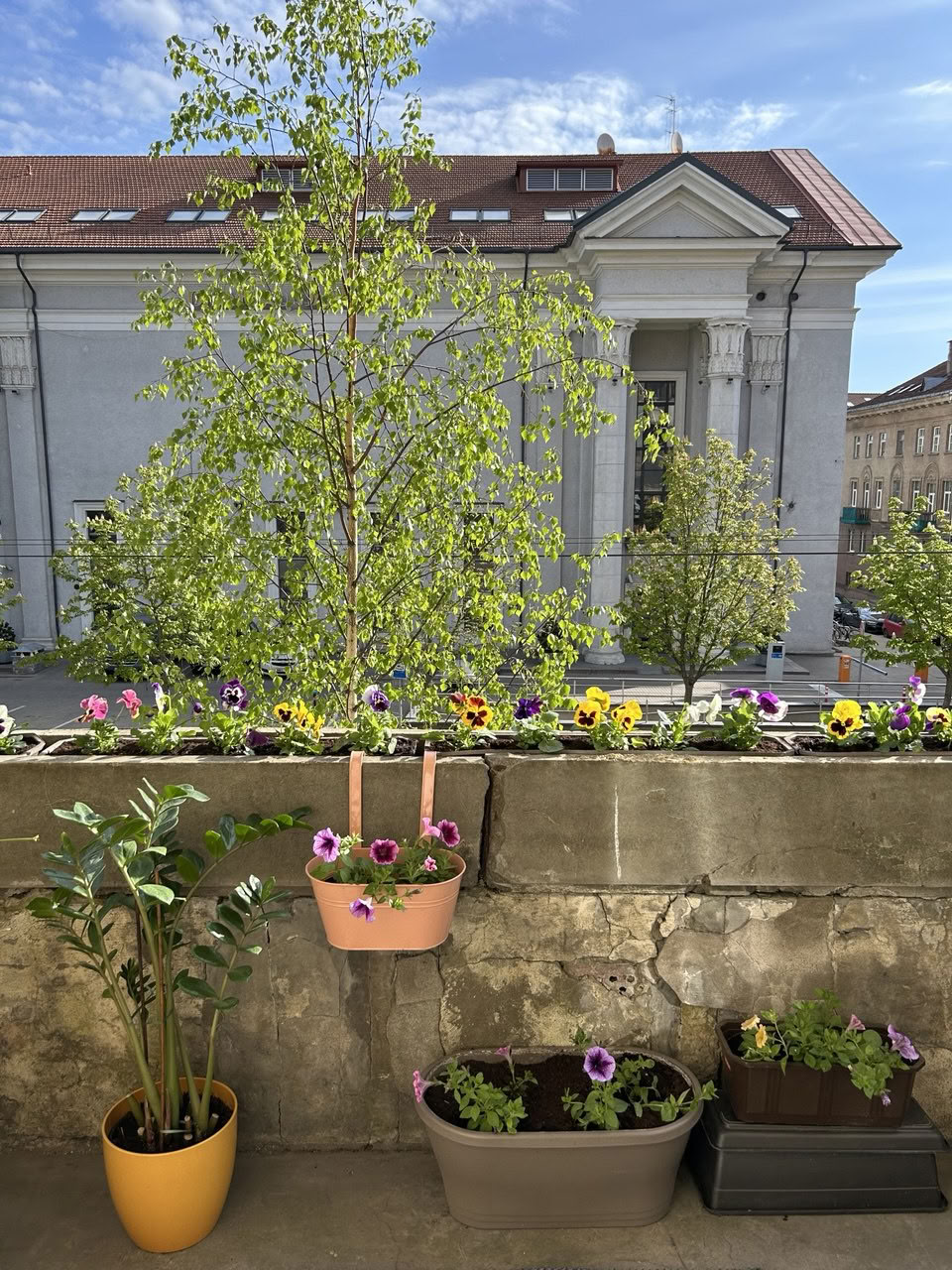 Sivananda Yoga Vedanta Center in Vilnius