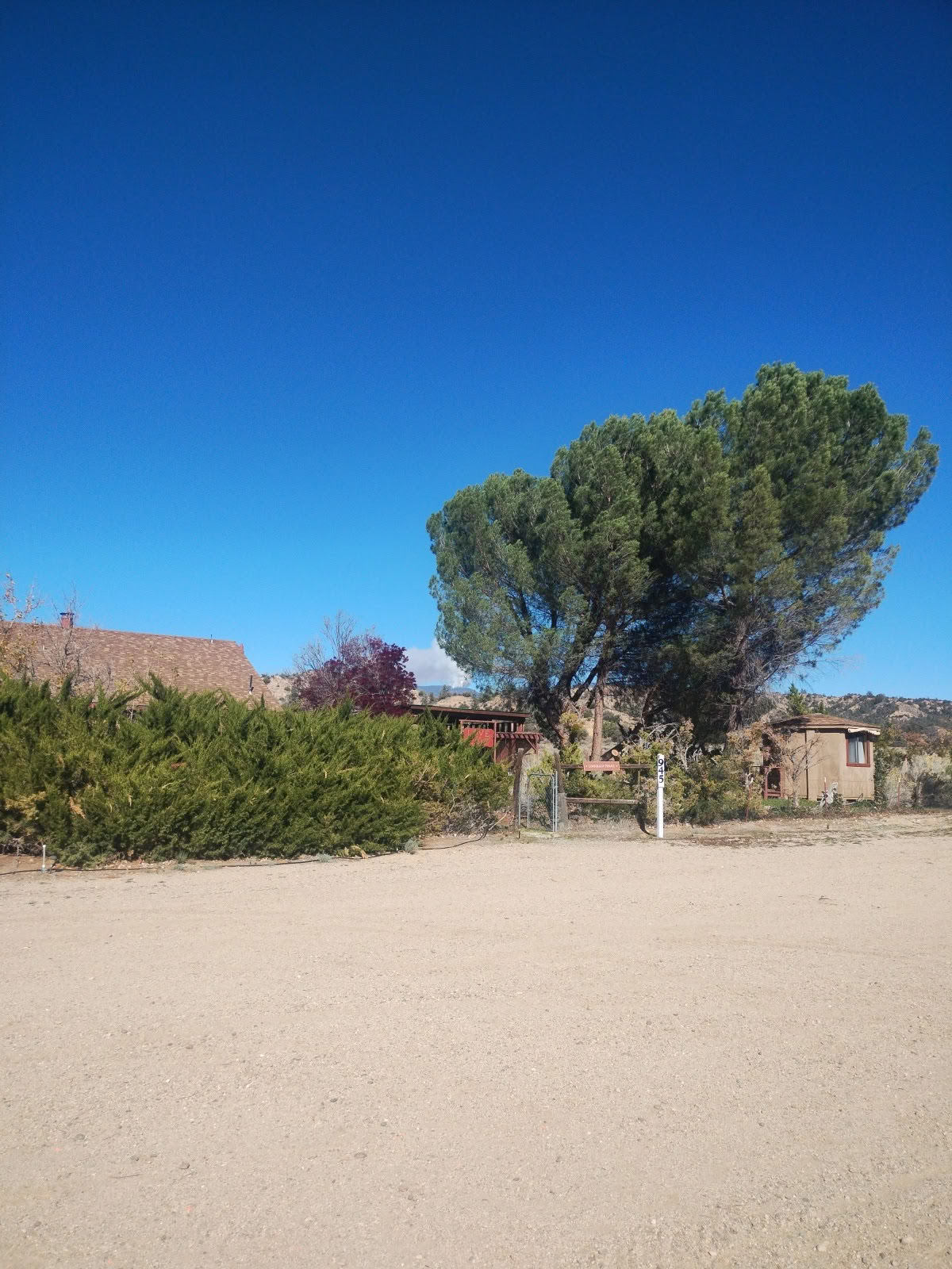 Loveology Retreat