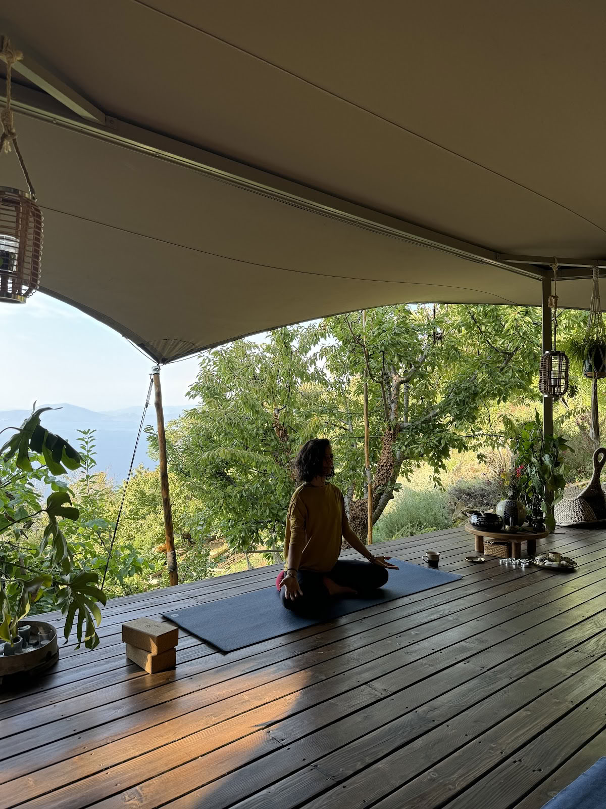 PELION HOMES | Centro de retiros - Experiencias inmersivas a ritmo lento basadas en la naturaleza