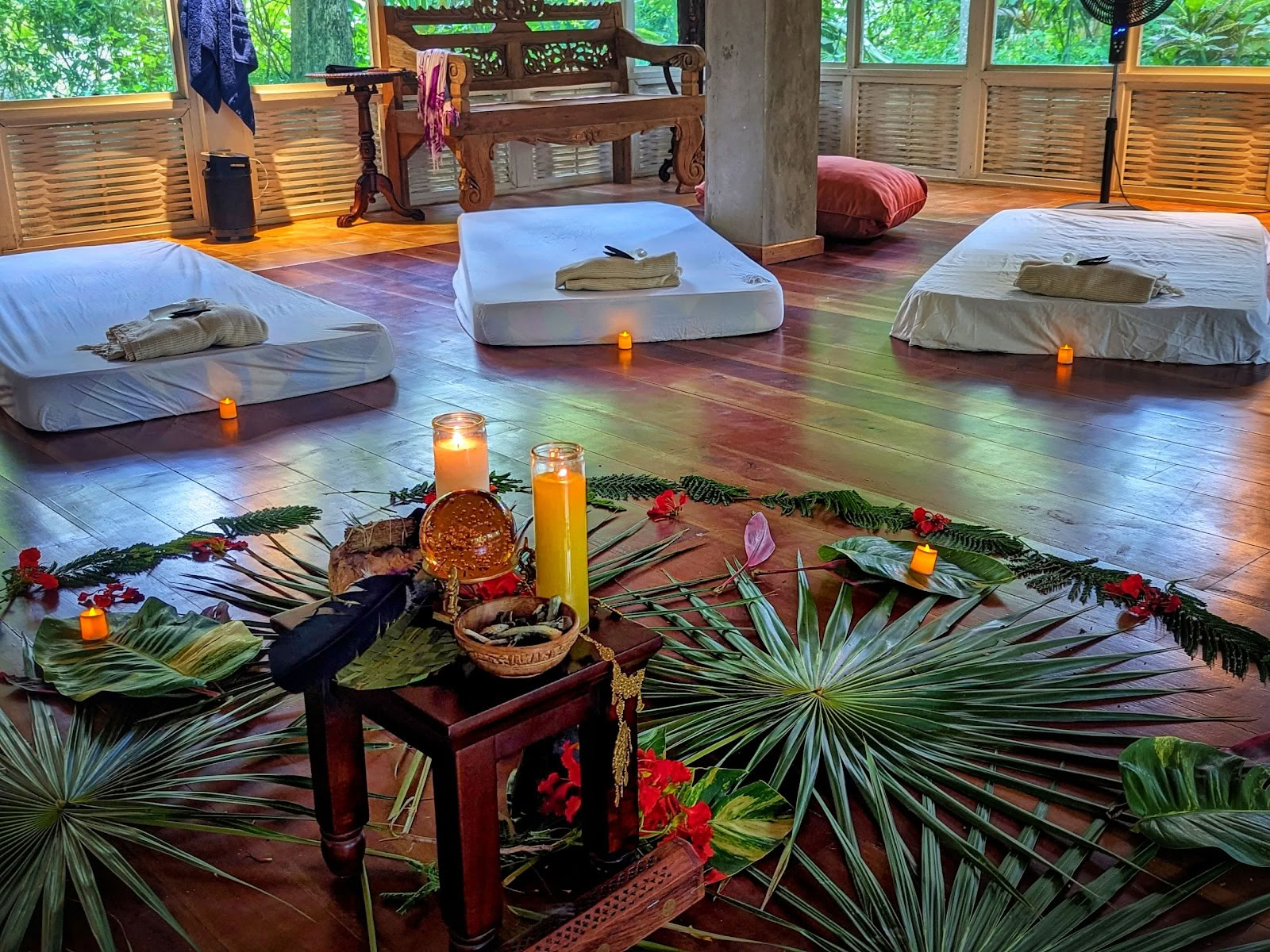 ONE Retreats | Retiros con hongos de psilocibina