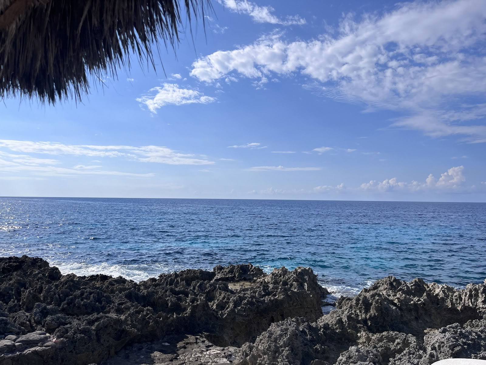 ONE Retreats | Retiros con hongos de psilocibina