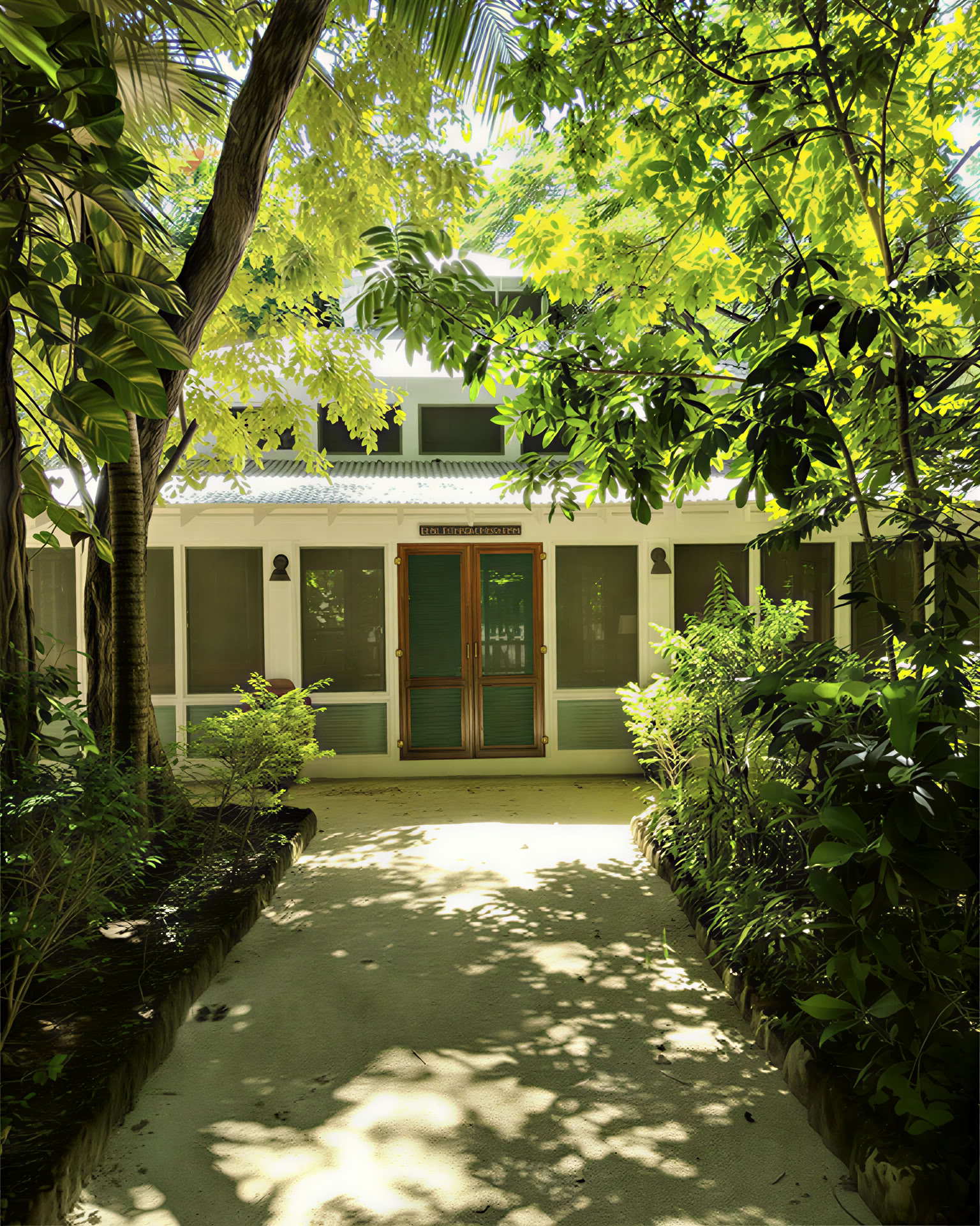 ONE Retreats | Retiros con hongos de psilocibina