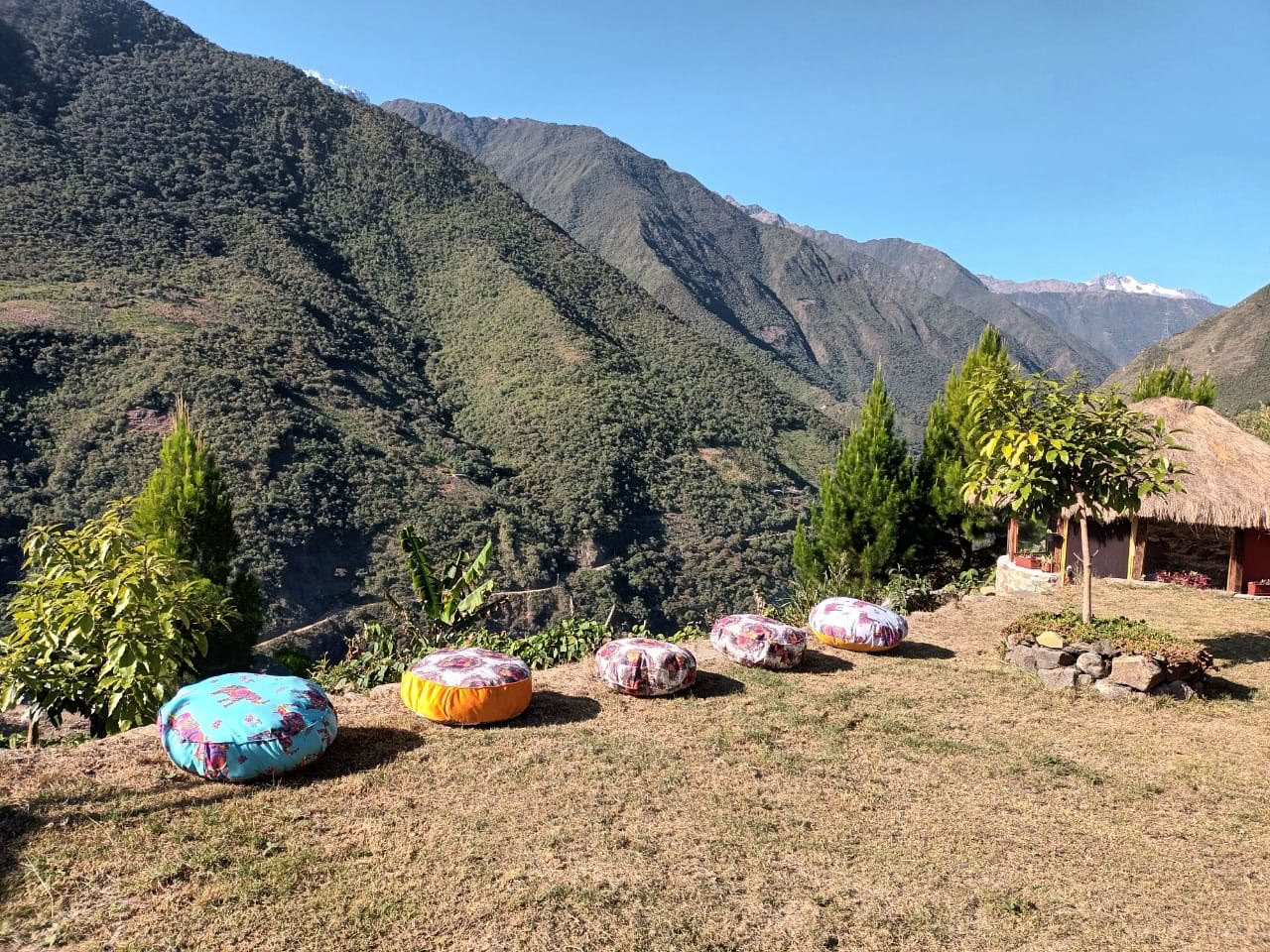 Onaya Ayahuasca Retiro