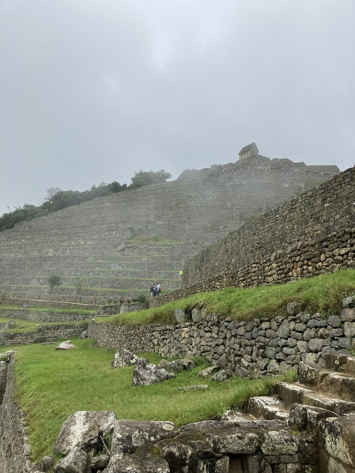 Onaya Ayahuasca Retiro