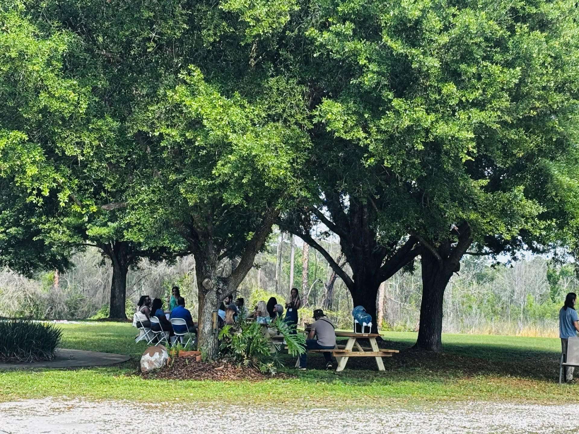 Fundación Inekawa