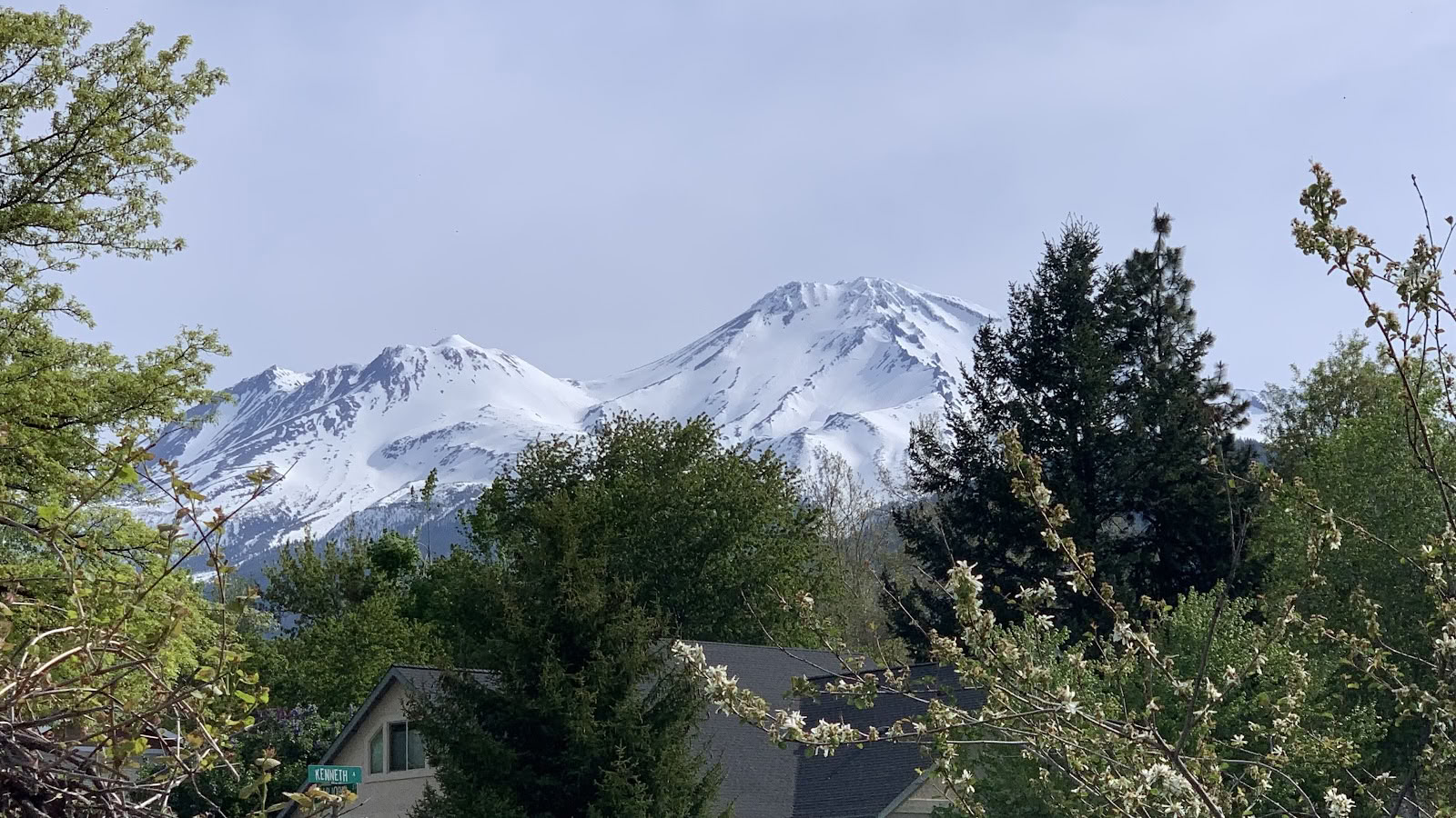 Mount Shasta Retiros