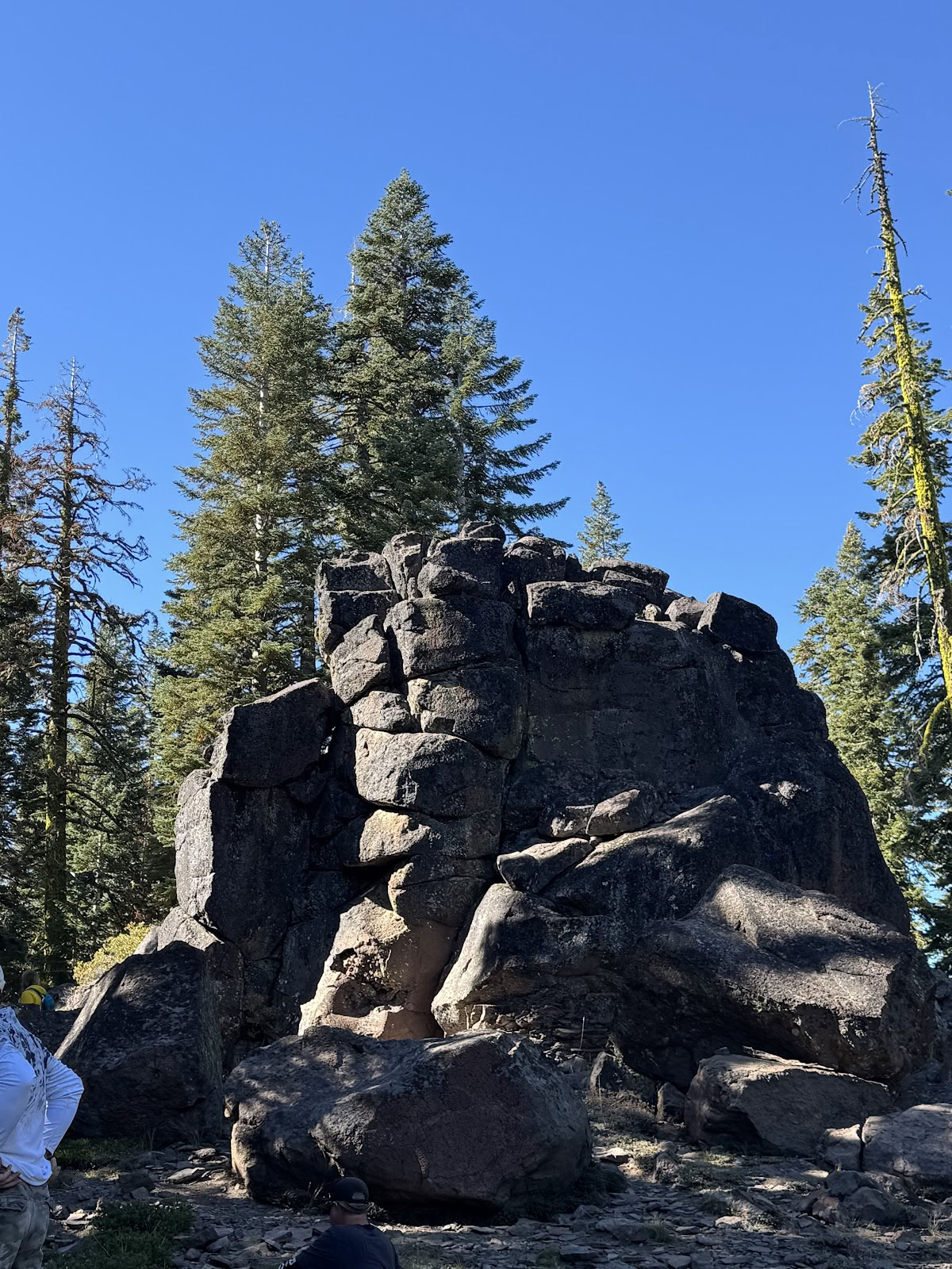 Mount Shasta Retiros