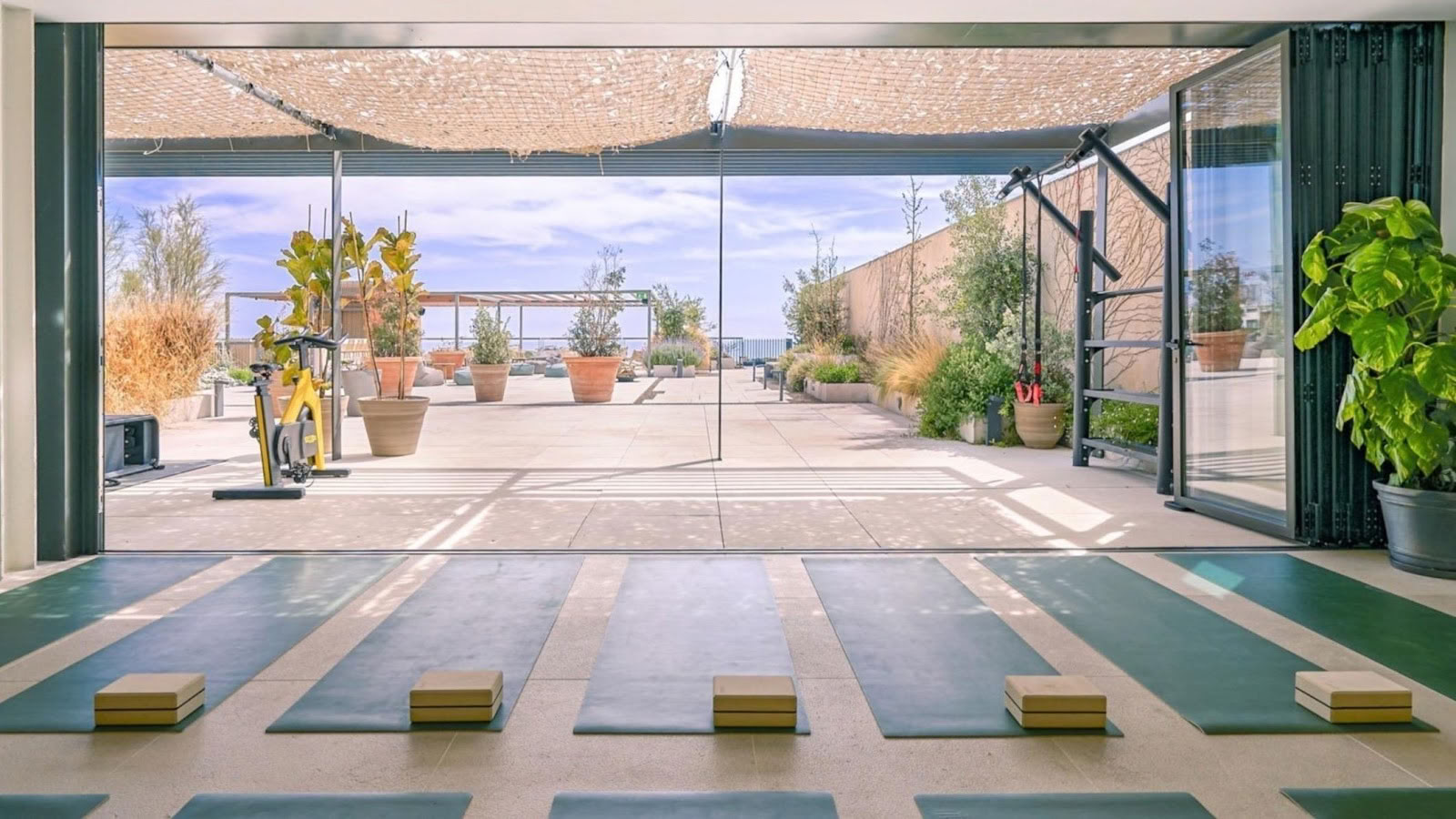 El Living Wellness | Fitness, Pilates, Yoga y Entrenamiento Personal