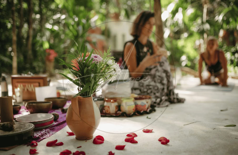 Aloee Wellness (Oficina de México)