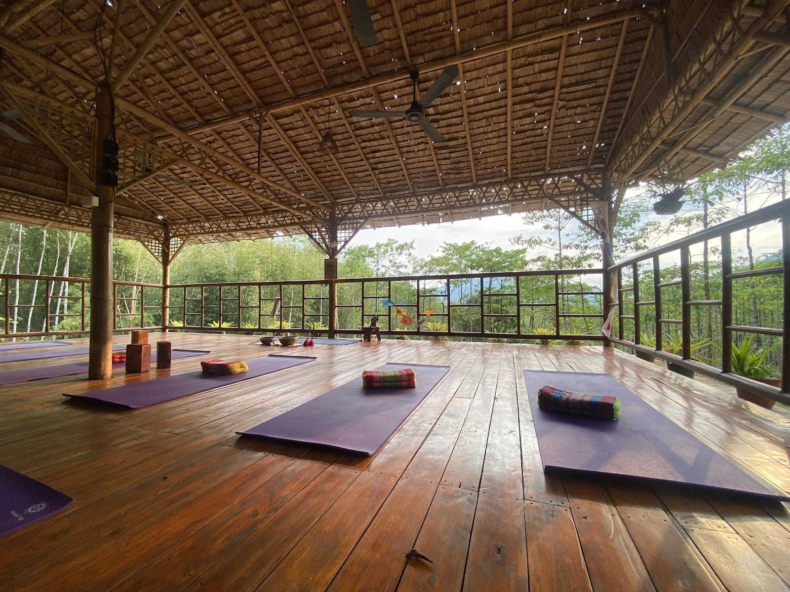 Khaosok Yoga เขาสกโยคะ