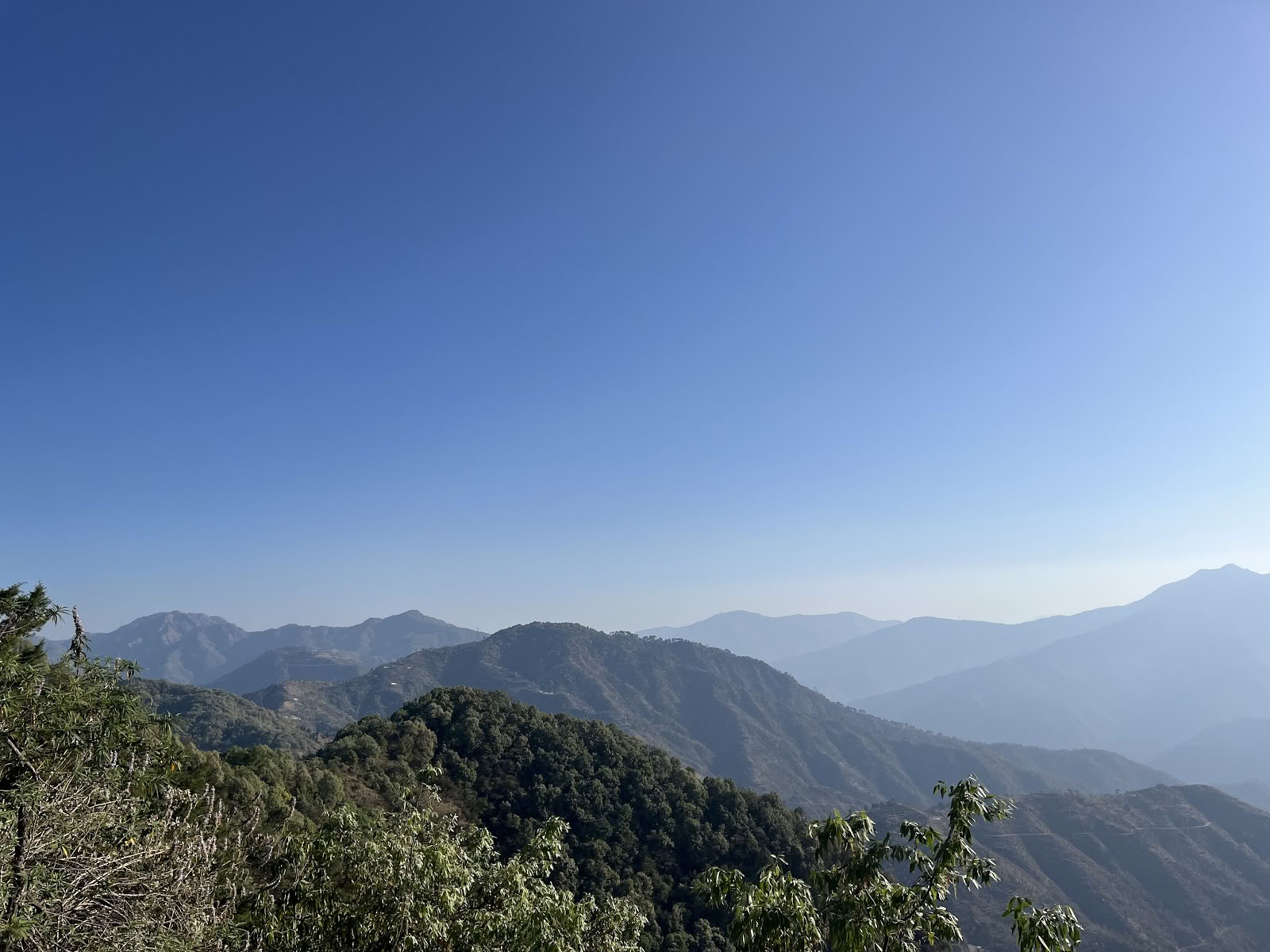 Japam Yoga, Treks and Tours LLP (Estudio)