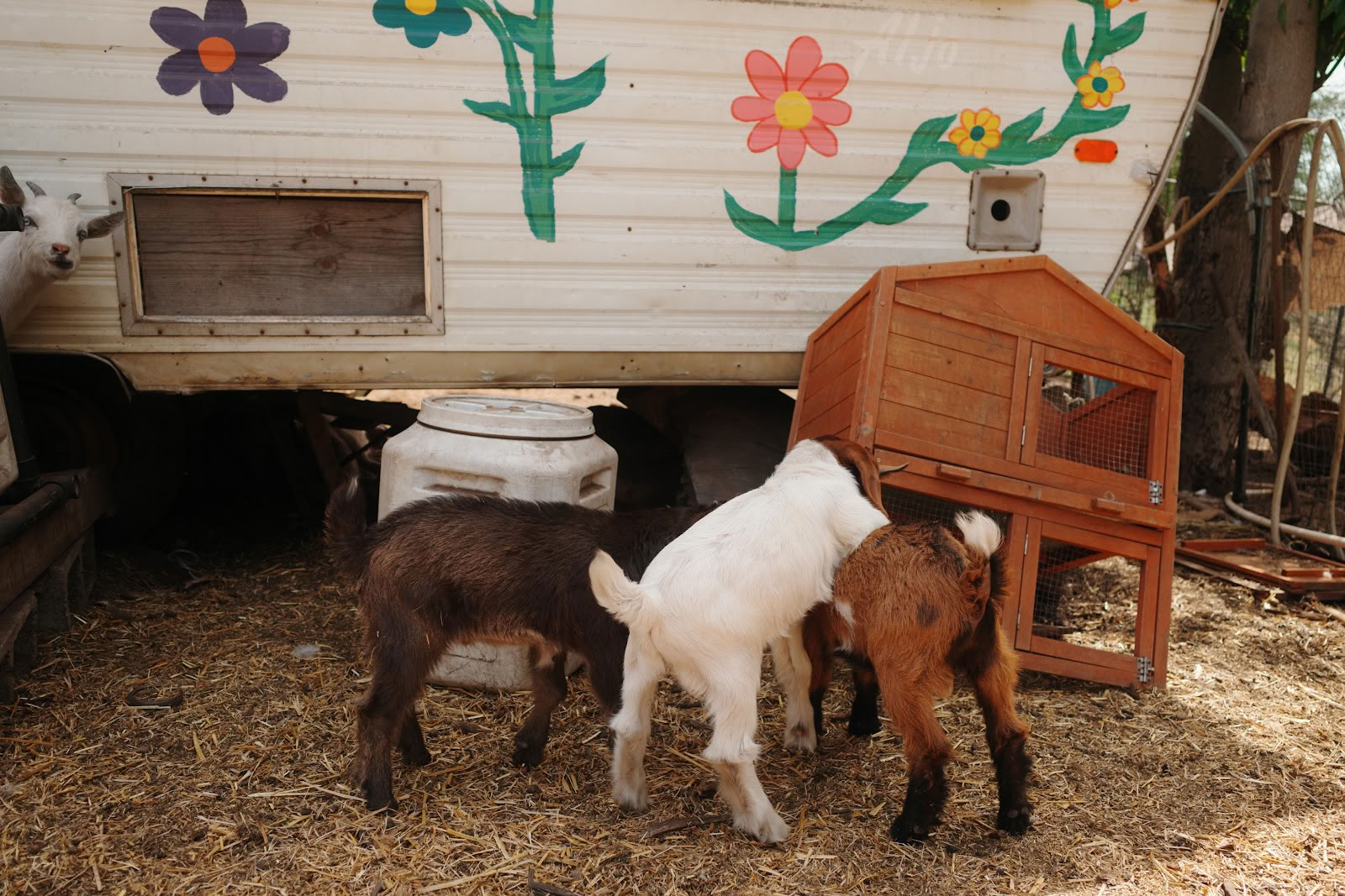 Splitrock Farm y Retiro