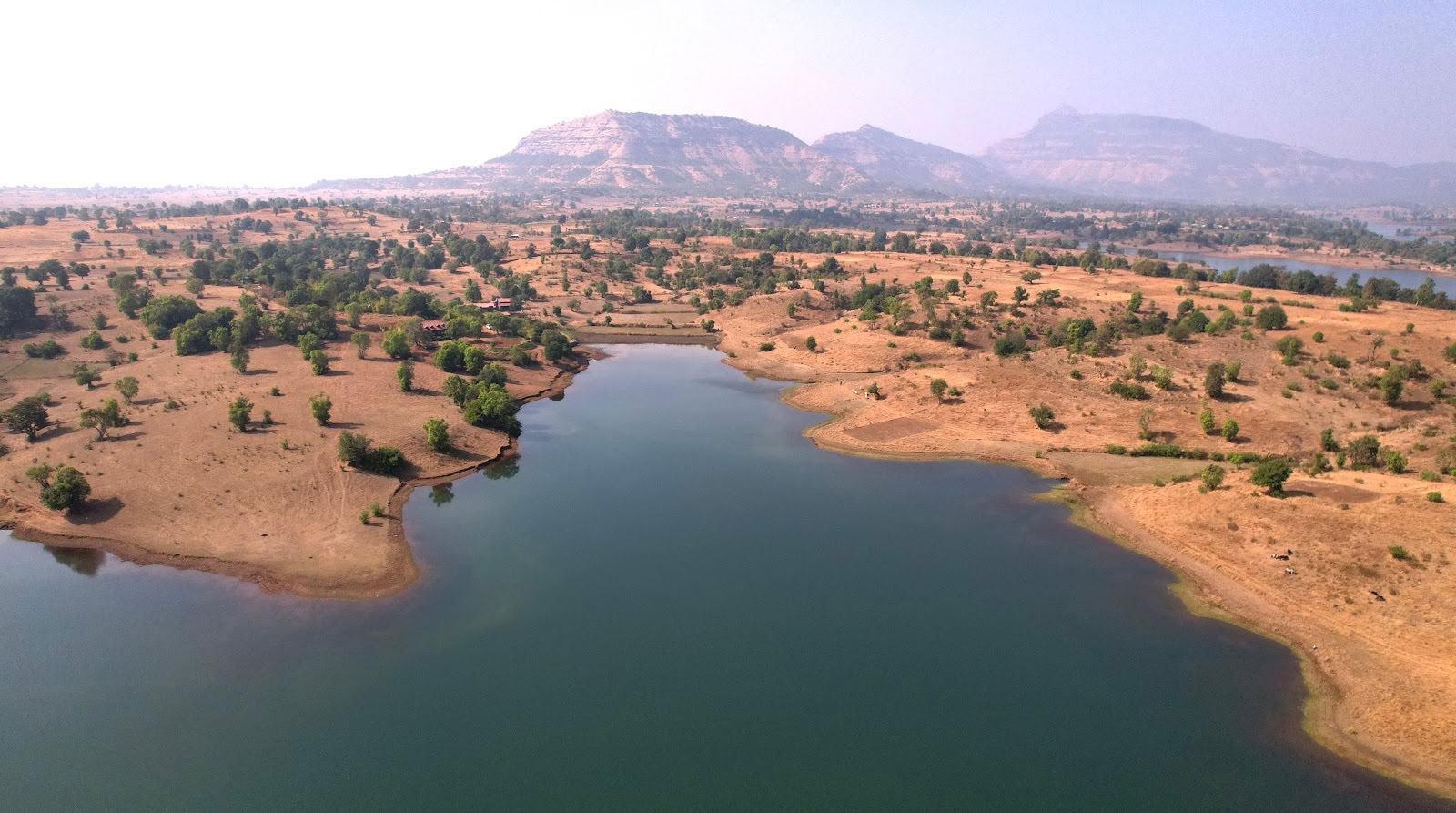 SiddhaDham - Farm Stay & Wellness Retiro - Nashik / Igatpuri
