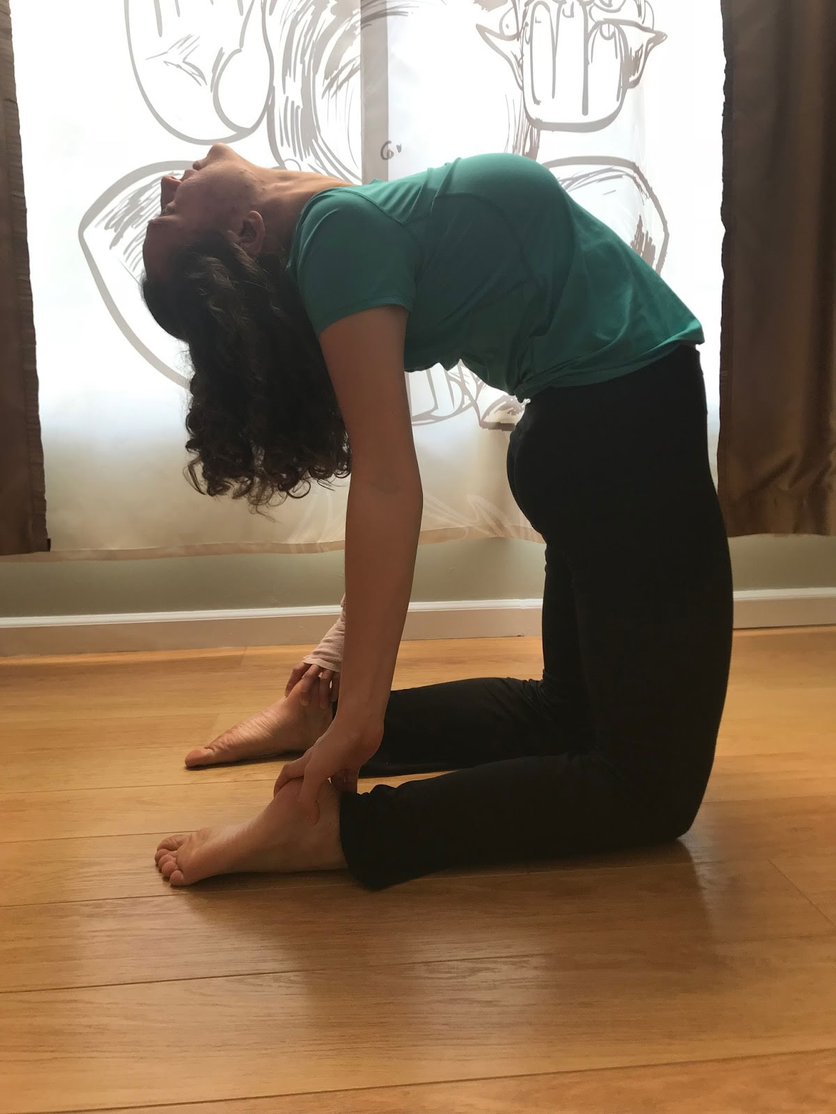 The Blue Flame Healing - Reiki, Animal Reiki, Yoga & Coaching Espiritual en New Jersey