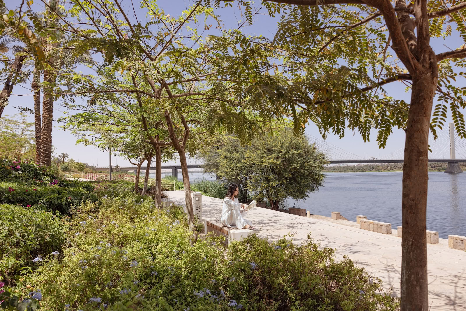 The Zen Wellness Resort
