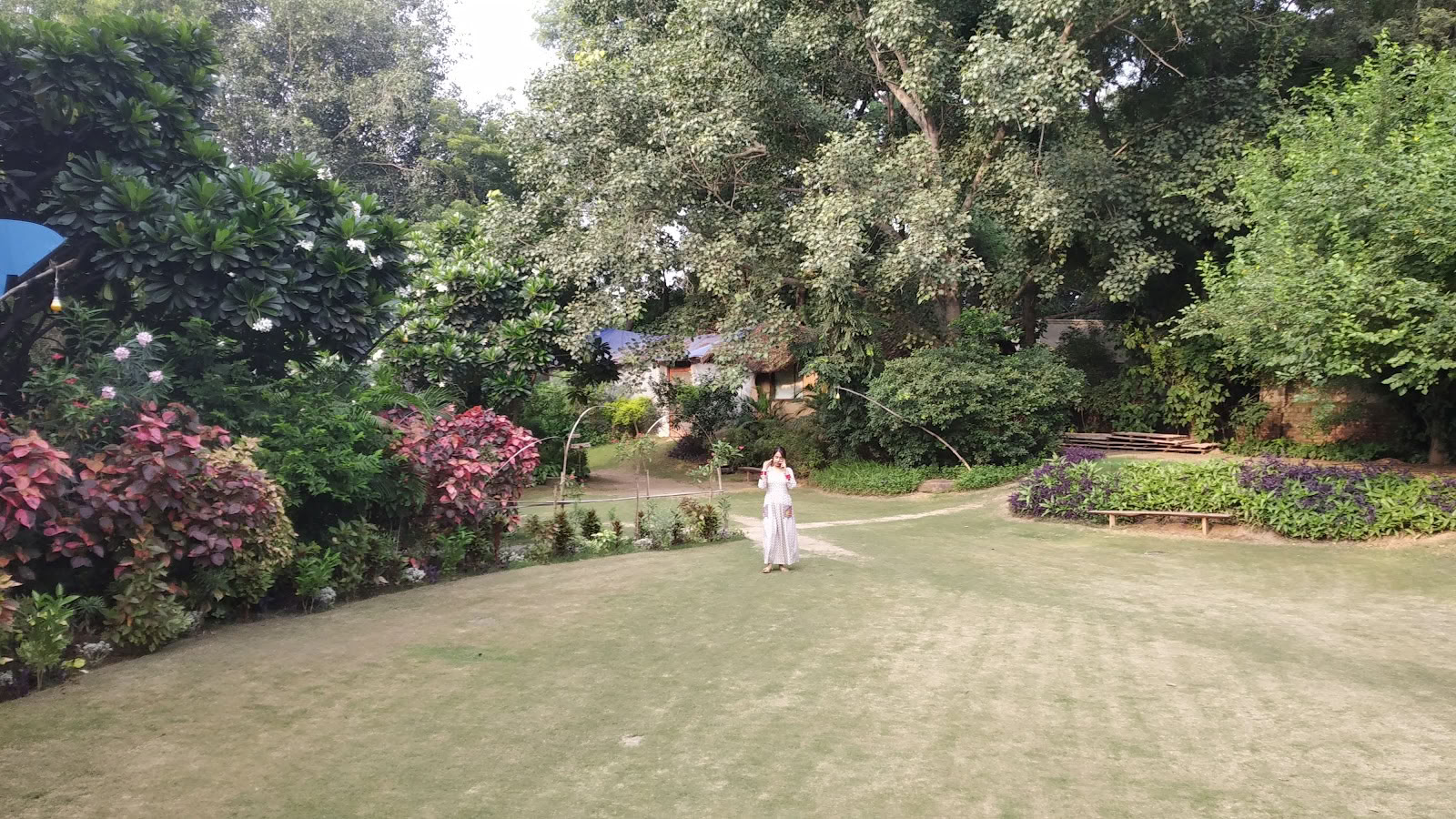 Zorba The Buddha - Nueva Delhi