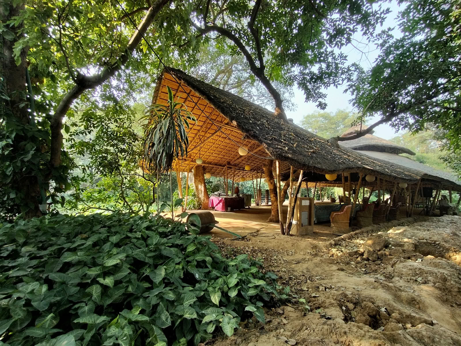 Zorba The Buddha - Nueva Delhi
