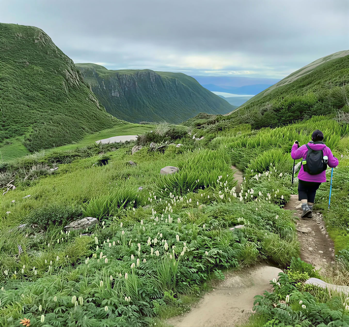 Transform Gros Morne Retiros