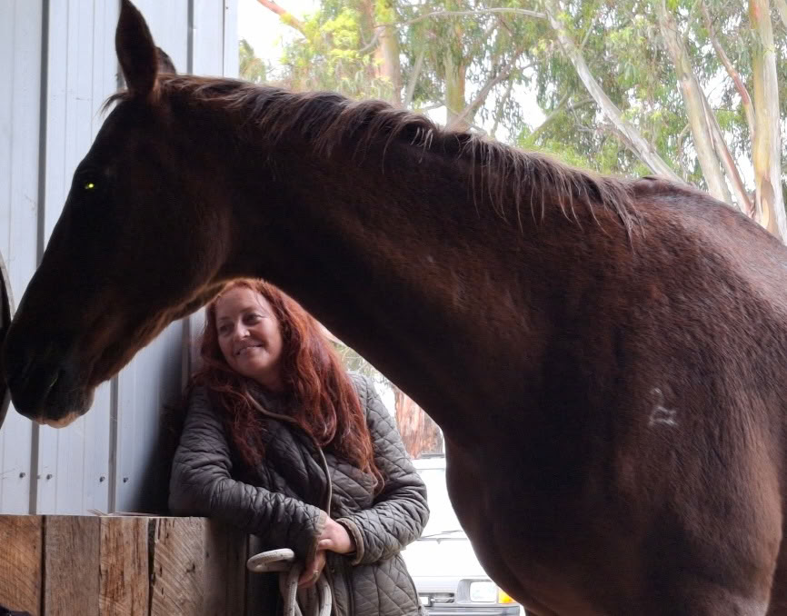 Heart of the Horse- Trabajar con caballos ayudando a las personas a sanar