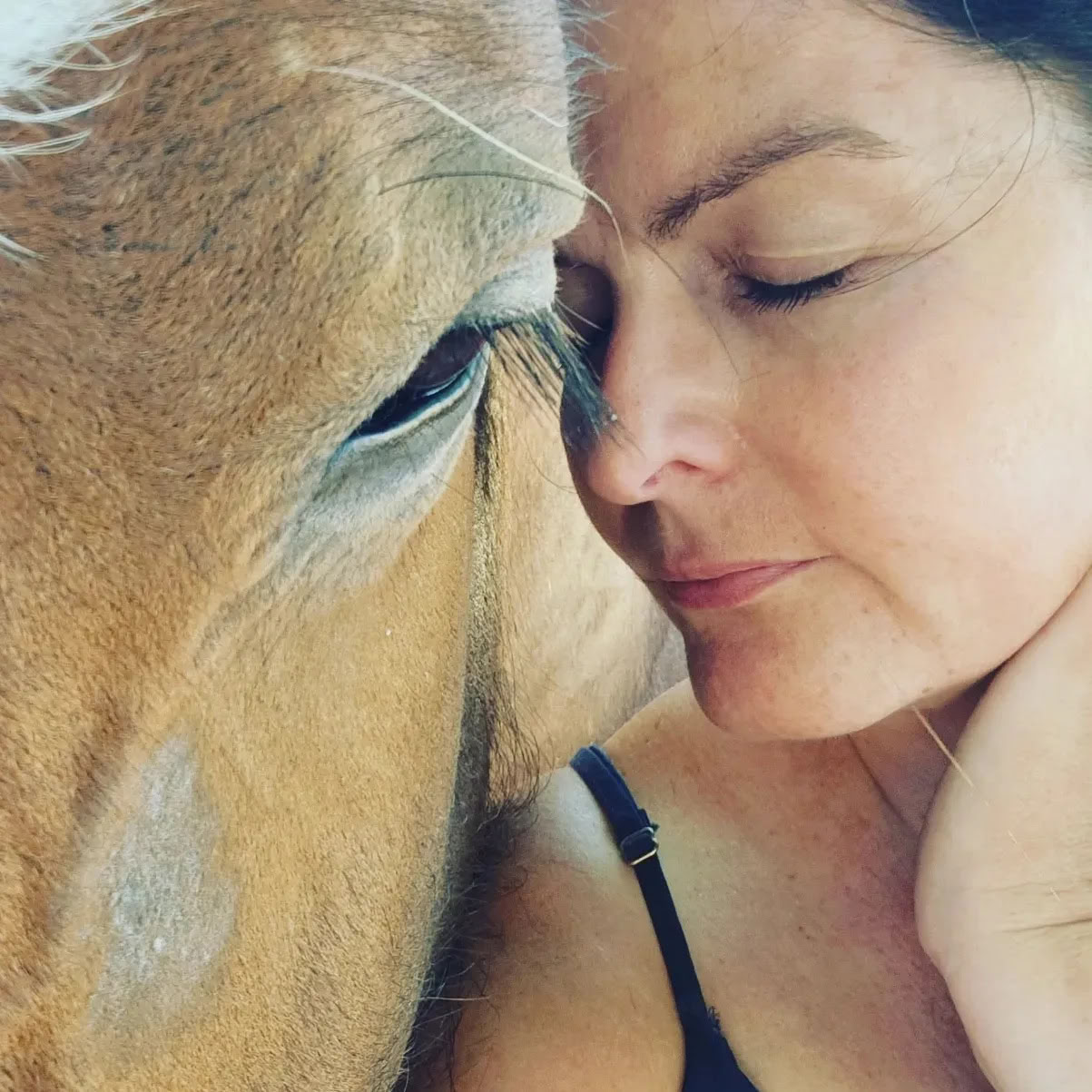 Heart of the Horse- Trabajar con caballos ayudando a las personas a sanar