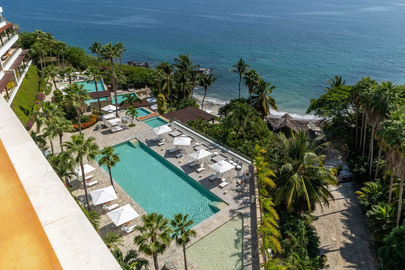 Kambo Wellness Center