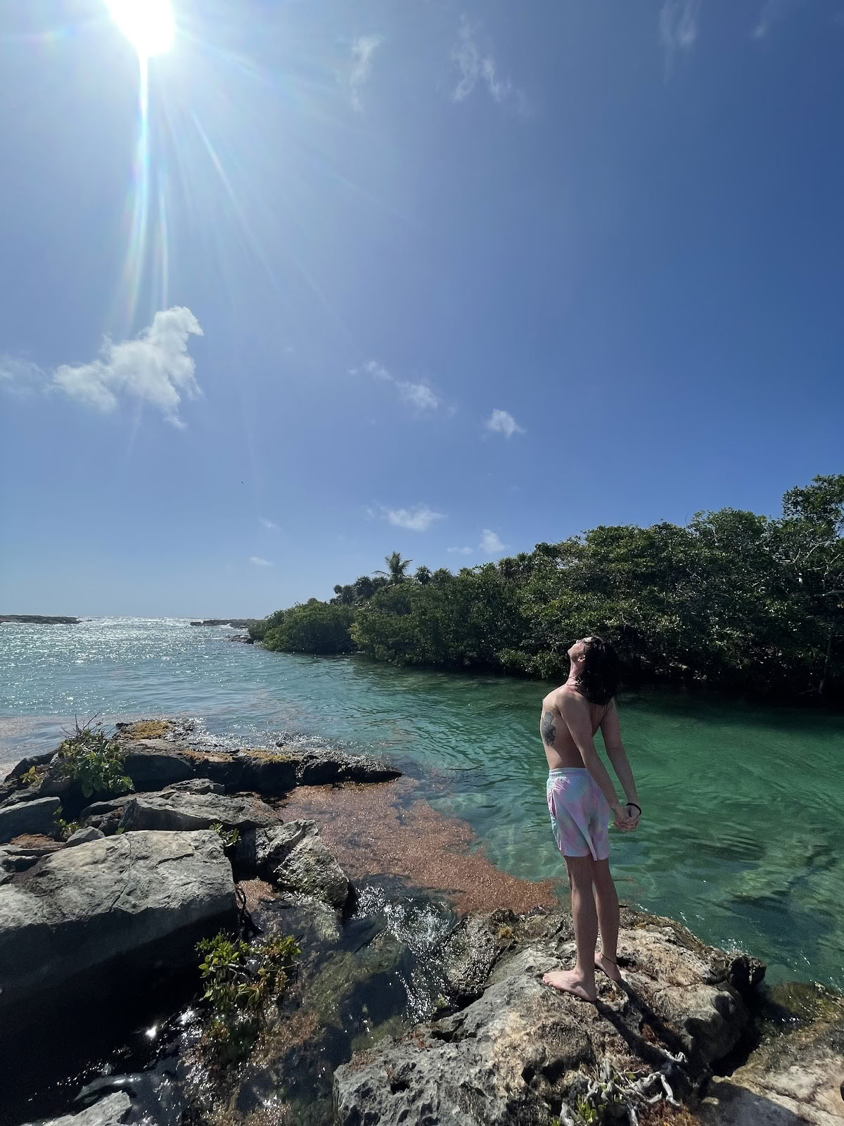 Mi Vida Yoga Retiros Tulum (Office)